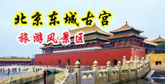 观看大奶子中国北京-东城古宫旅游风景区